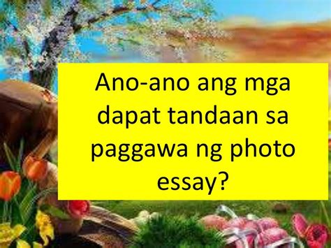 Photo Essay Sanaysay Ng Larawan