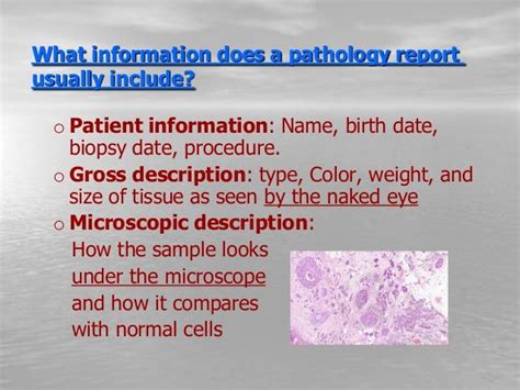 Interpretation of pathology report