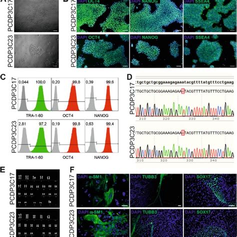 Generation And Characterization Of Mhhi A B Hipsc Cell Lines