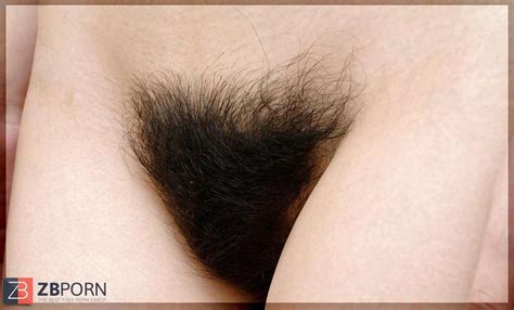 Only Fur Covered Slit ZB Porn