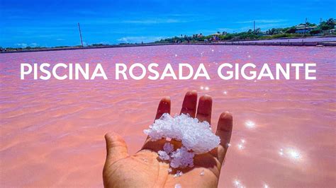 Las Salinas De Cabo Rojo Una Piscina Rosada En Puerto Rico Youtube