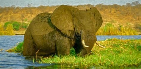 African Elephant Digital Oil Painting Stock Photo - Image of painting ...