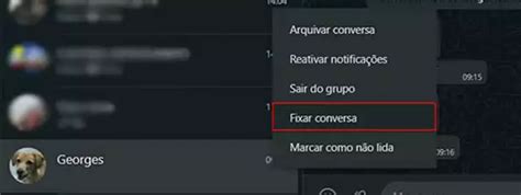 Como Fixar Grupo No Whatsapp - Como fixar conversas ou grupos mais importantes no WhatsApp