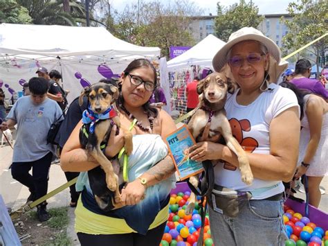 Chilango Can Fest de CDMX por el Día Mundial del Perro cuándo y