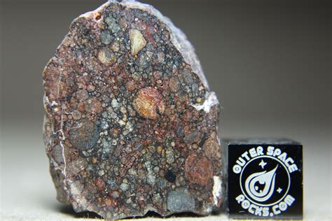 Nwa 10699 Lll3 Primitive Chondrite Meteorite Billions Of Years Old