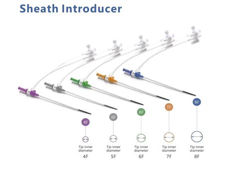 Sheath introducer – Transmad Eg