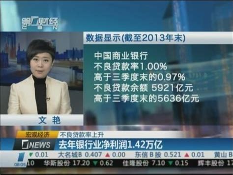 不良贷款率上升 去年银行业净利润142万亿 视频中国