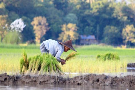 Birmanie quand partir Meilleure période pour voyager au Myanmar