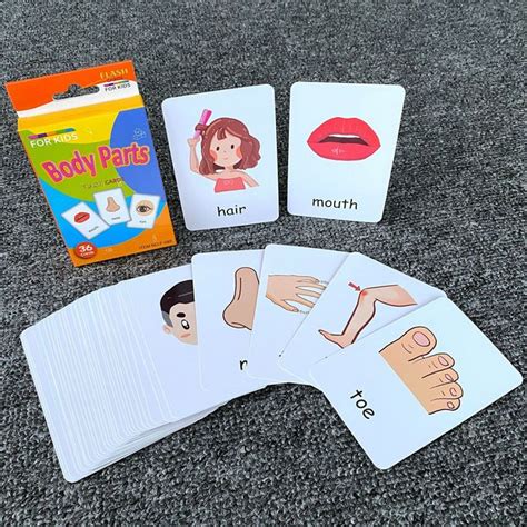 Buy Body Parts Flashcards Online - Educational Toys Pakistan