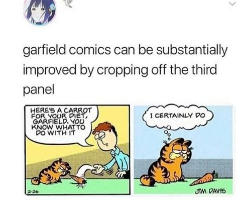 Garfield Meme By Radcoder Memedroid