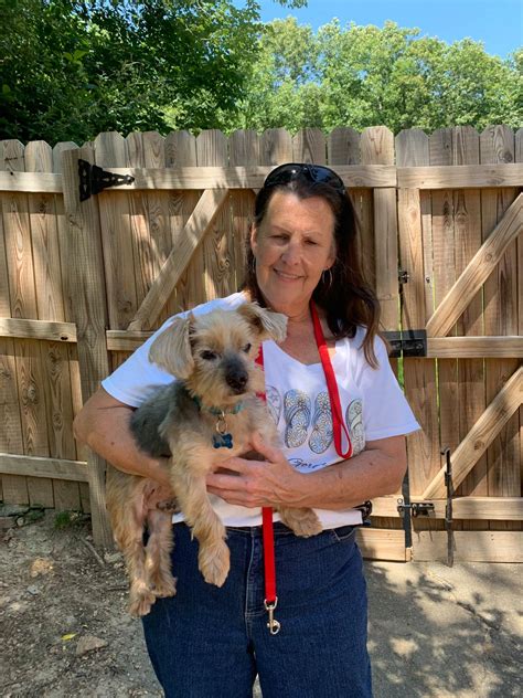 Happy... - For the love of Poodles Rescue of Richmond, VA