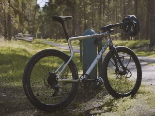 Gravel E Bike Urwahn Waldwiesel im Test Es waldet so schön NETZWELT