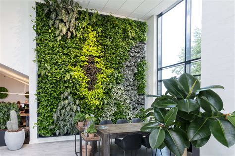 Living green walls from Natural Greenwalls for offices and professionals