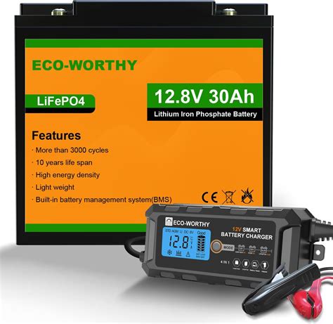 ECO WORTHY 12V 30AH LiFePO4 Lithium Battery And 12V 5Amp Automatic