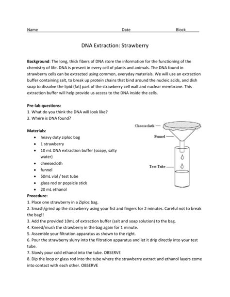 Dna Extraction In The Lab