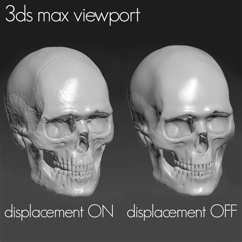 caucasoid male skull 3d max