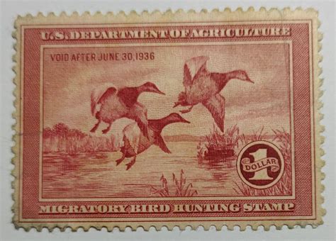 Scott Stamp Rw Federal Duck Stamp Mnh Original Gum Scv