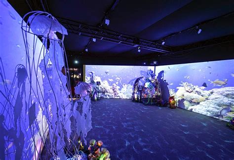 Inside National Geographic's Ocean-Inspired Activation at D23
