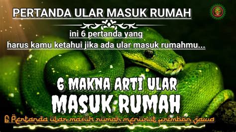 Arti Ular Masuk Rumah 6 Pertanda Ular Masuk Rumah Menurut Primbon