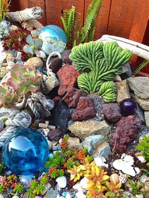 Exotic Succulents For An Ocean Themed Garden Ocean Theme Landscaping