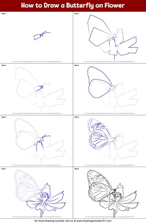 How to Draw a Butterfly on Flower printable step by step drawing sheet ...