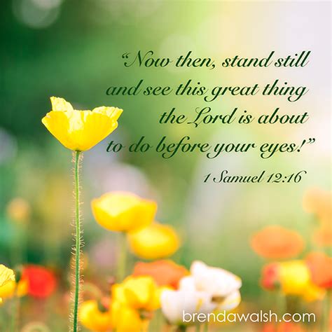 miracles  god verse