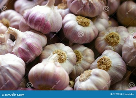 Garlic Cloves Stock Photos - Image: 1273753