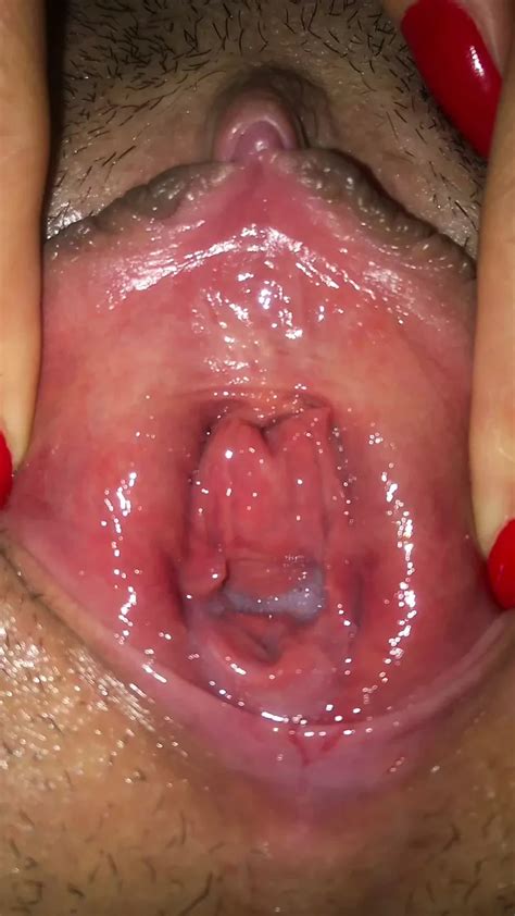 Latinos Puercos Eating Pussy Full HD P Porn Videos XHamster
