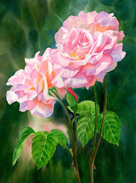 Pink Roses Original Watercolor Painting Floral Art Rose