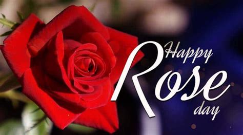 Rose Day Wishes Message And Quotes Yeyelife