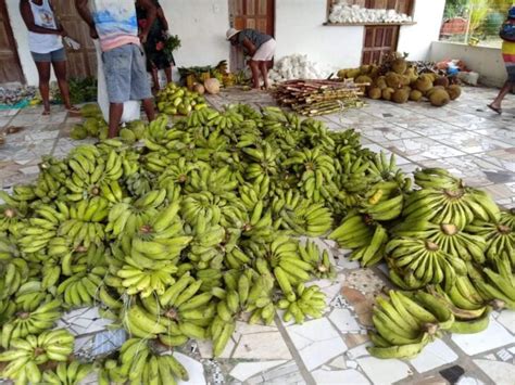 Prefeitura Realiza Entrega De Alimentos Do Paa No Campinho Trememb E