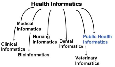 Health Informatics | HIT Wiki | FANDOM powered by Wikia