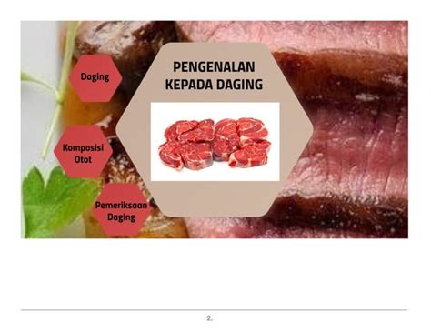 Pengenalan Tentang Daging Ppt Free Download