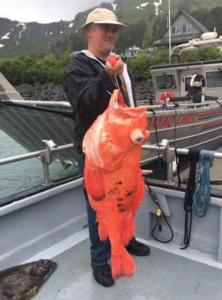 Whittier, Alaska Fishing Report | Alaska Fishing Report | Fish Alaska Magazine