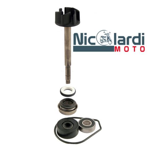 Kit Revisione Pompa Acqua Yamaha Majesty 400 2004 2008 Nicolardi