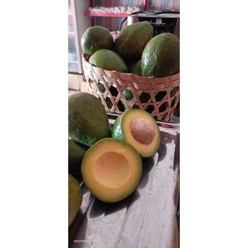 Jual Buah Alpukat Mentega SUPER 1 Kg Shopee Indonesia