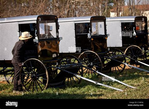 Amish Man Inspects A Horse Buggy During The Annual Mud Sale To Support