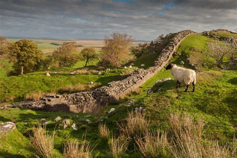 Perfect Day Out On Hadrian S Wall With The Vindolanda Trust