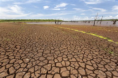 Secretário nacional de Defesa Civil diz que seca severa no Pantanal