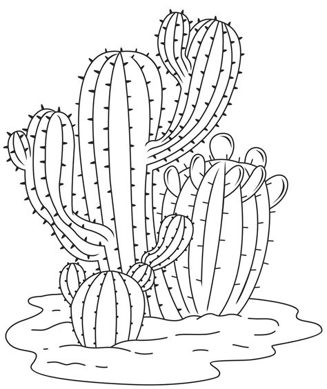 Coloriage Cactus avec de nombreuses épines télécharger et imprimer