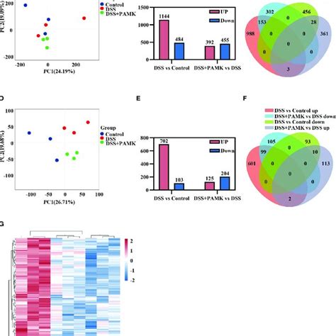 Schematic Diagram Of DSS Induced Colitis And Treatment In Mice