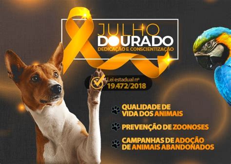 Assembleia Legislativa do Paraná Notícias Julho Dourado Mês de