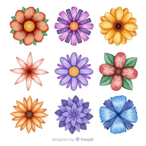 Set Flores Dibujadas A Mano Acuarela Vector Gratis