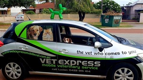 Perth Mobile Vet Gallery