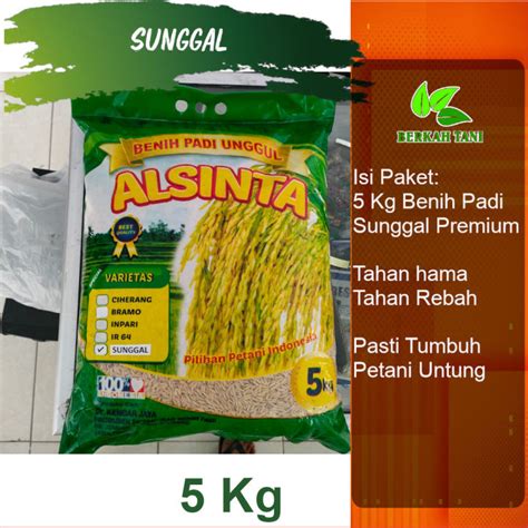 Benih Padi Sunggal Premium Pak Tani 5 Kg Lazada Indonesia