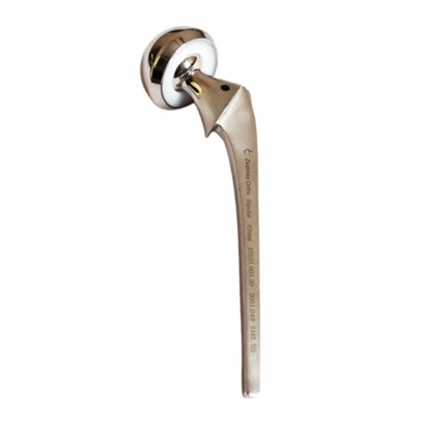 Overview Of Hip Prosthesis Orthopedic Implant Zealmax Ortho Zealmax