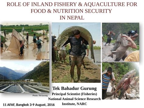 PDF ROLE OF INLAND FISHERY AQUACULTURE FOR FOOD NUTRITION