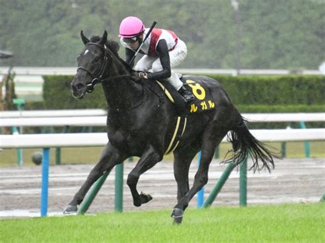 【京阪杯2023】予想と一週前追い切り・調教評価 未勝利マニアの競馬予想