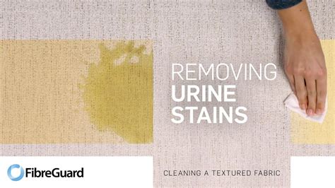 How To Remove Urine Stains From A Textured Fibreguard Fabric Youtube