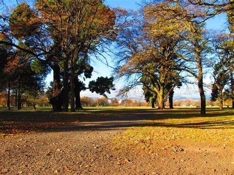 Hagley Park in Christchurch